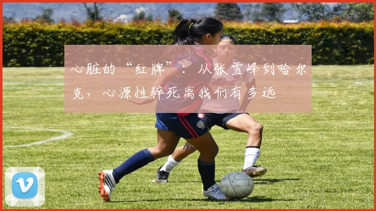 心脏的“红牌”：从张雪峰到哈尔克，心源性猝死离我们有多远